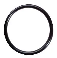 [21008] Joint torique 160x7 FKM 80Sh Marron